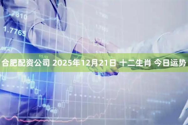 合肥配资公司 2025年12月21日 十二生肖 今日运势