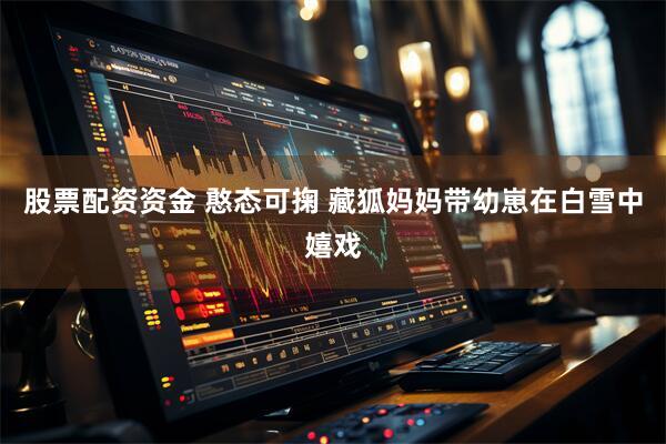 股票配资资金 憨态可掬 藏狐妈妈带幼崽在白雪中嬉戏